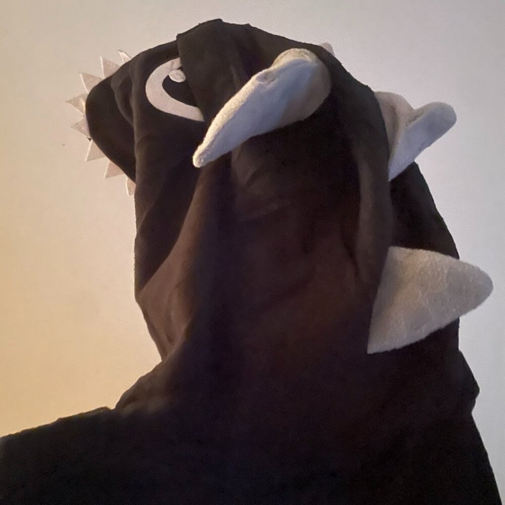 Black & Grey Shark Onesie Pajamas